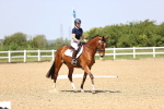 SBM_009030