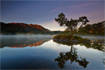 Morning Mist