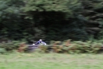 FOM_0762