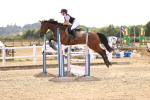 SBM_001501