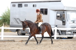 SBM_01491