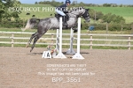BPP_3561