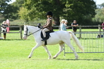 SBM_50293