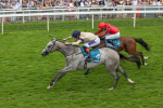270724-Race 4-Greydreambeliever-4718