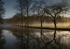 River dawn 3
