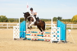 SBM_002831