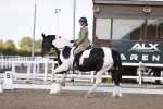 SBM_07970