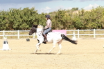 SBM_011503