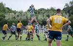 Guernsey Raiders v Old Albanian_2022-39