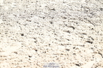 260705A-103721-19052