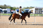 SBM_08702