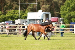SBM_00612