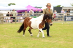 SBM_04379