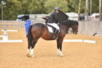 SBM_10158
