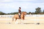 SBM_15779