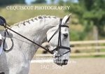 JAC_5692