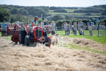 Guernsey Agricultural Show 2021-206