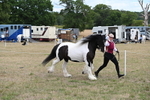 WJ6_5374