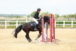 SBM_008096