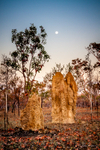 Full moon over Termite Mounds