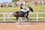 BPP_1987