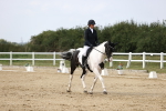 SBM_017991