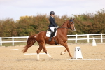 SBM_009607