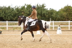 SBM_006747
