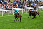 Race 5 16.10pm British EBF & Sir Henry Cecil Galtres Stakes portfolio