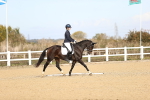 SBM_009535