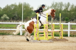 SBM_009048