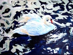 swan
