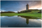 Scrabo Tower (IMG0714)