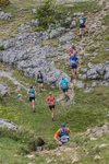 Hutton Roof-382