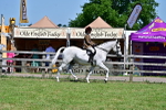 SBM_17541