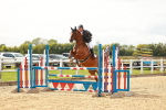 SBM_001748