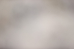 SBM_004220