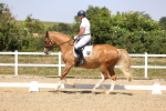 SBM_004900