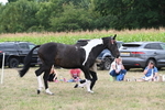 WJ6_5655