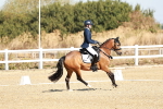 SBM_016950