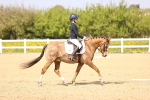 SBM_008450