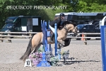 BPP_6968