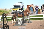 Tuesday 31st Club & Schools - Click to enter portfolio