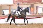 BPP_8554