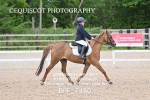 BPP_7460