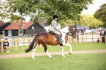 SBM_50202