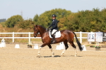 SBM_017882