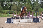 BPP_8801