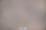 250627-201337-01481