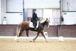 SBM_000193